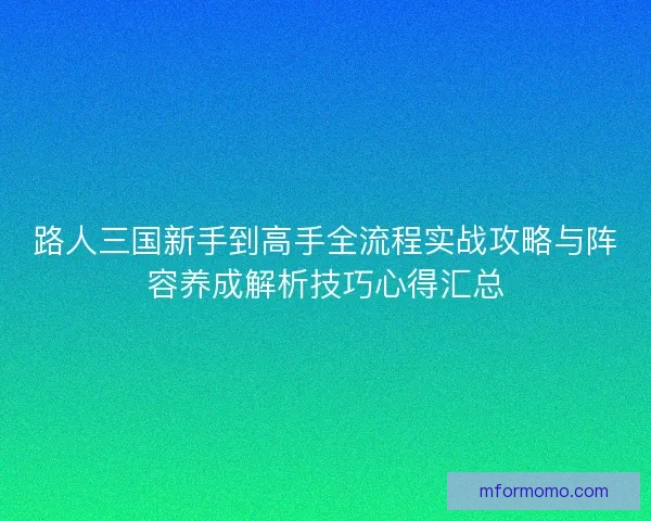 路人三国新手到高手全流程实战攻略与阵容养成解析技巧心得汇总