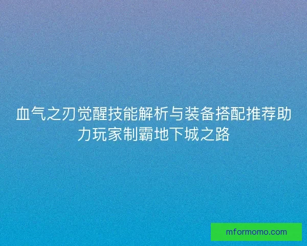 血气之刃觉醒技能解析与装备搭配推荐助力玩家制霸地下城之路