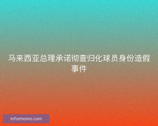 马来西亚总理承诺彻查归化球员身份造假事件